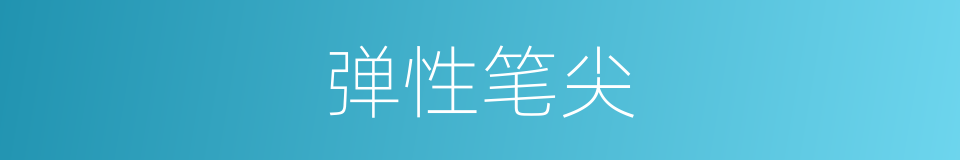 弹性笔尖的同义词