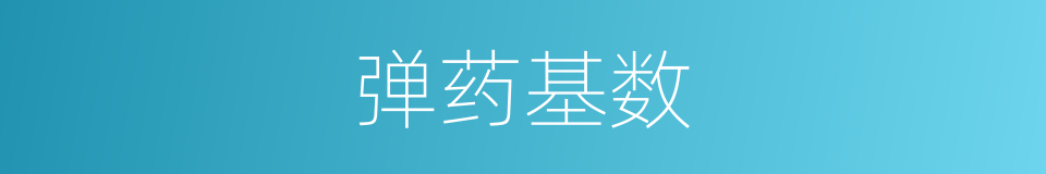 弹药基数的同义词