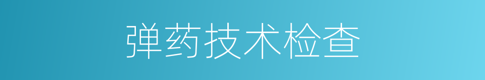 弹药技术检查的同义词