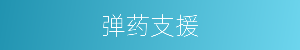 弹药支援的同义词