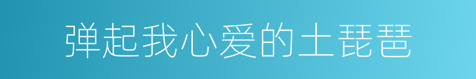 弹起我心爱的土琵琶的同义词