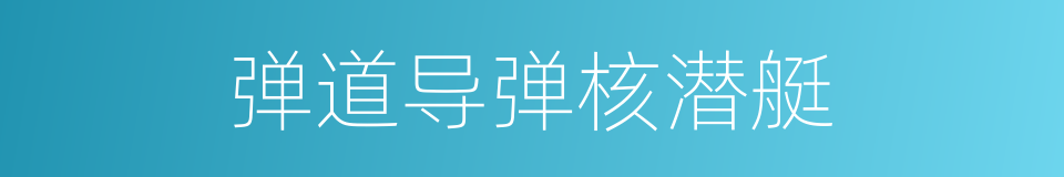 弹道导弹核潜艇的同义词