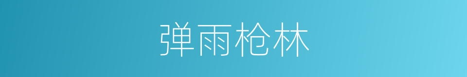弹雨枪林的意思