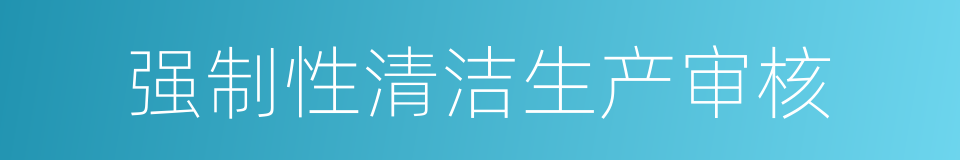 强制性清洁生产审核的同义词