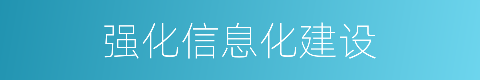 强化信息化建设的同义词