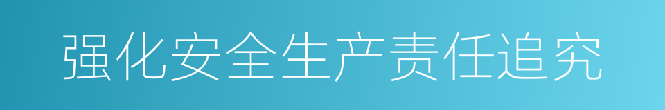 强化安全生产责任追究的同义词