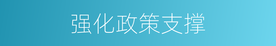 强化政策支撑的同义词