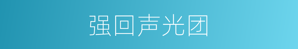强回声光团的同义词