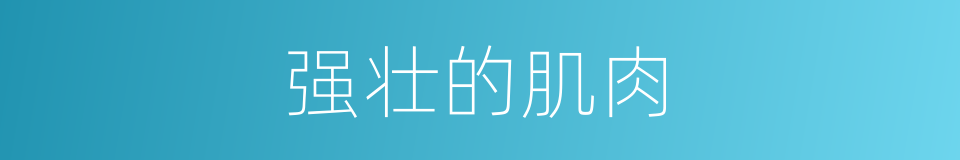 强壮的肌肉的同义词