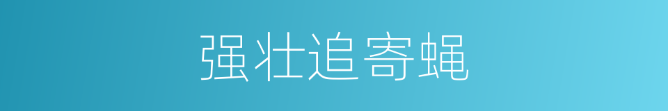 强壮追寄蝇的同义词