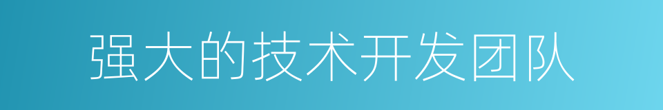 强大的技术开发团队的同义词