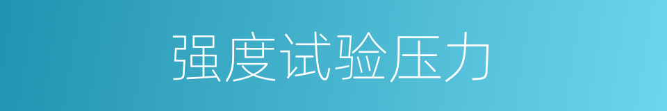 强度试验压力的同义词