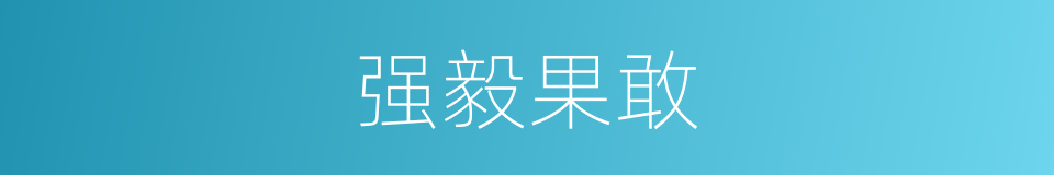 强毅果敢的意思