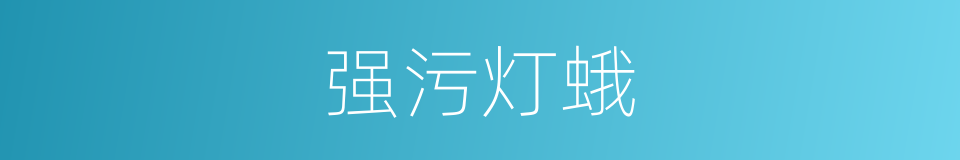 强污灯蛾的同义词