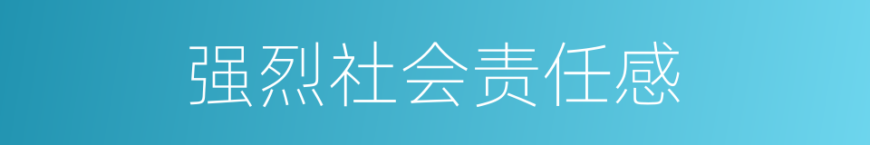 强烈社会责任感的同义词