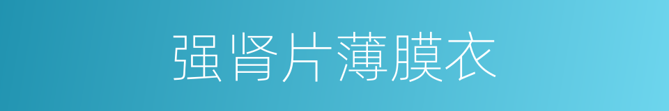 强肾片薄膜衣的同义词