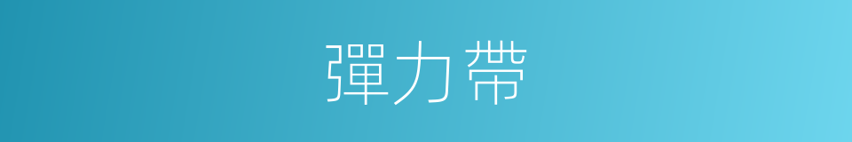 彈力帶的同義詞