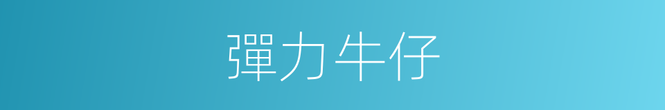 彈力牛仔的同義詞