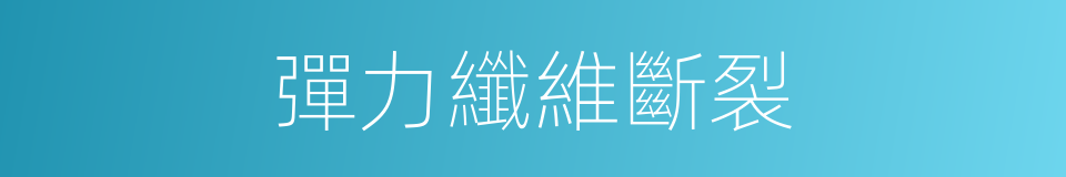 彈力纖維斷裂的同義詞