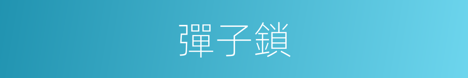 彈子鎖的意思