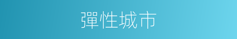 彈性城市的同義詞