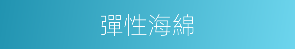 彈性海綿的同義詞