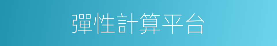 彈性計算平台的同義詞