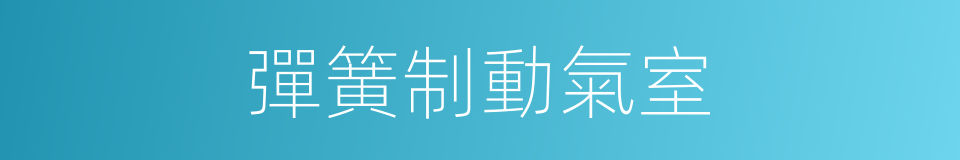 彈簧制動氣室的同義詞