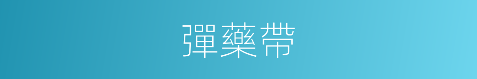 彈藥帶的同義詞