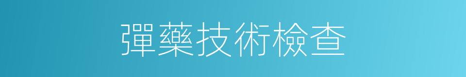 彈藥技術檢查的同義詞