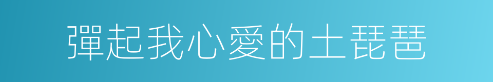 彈起我心愛的土琵琶的同義詞