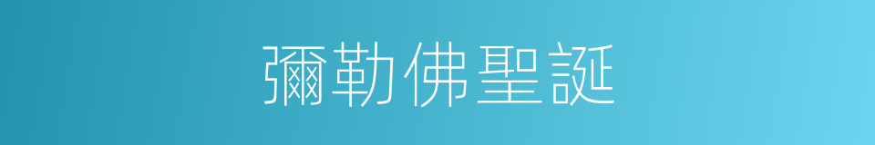 彌勒佛聖誕的同義詞