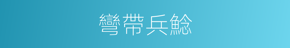 彎帶兵鯰的同義詞