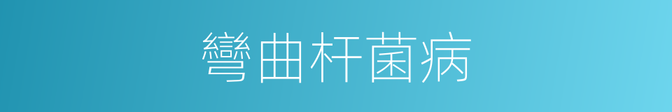彎曲杆菌病的同義詞