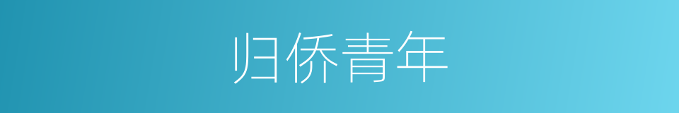归侨青年的同义词