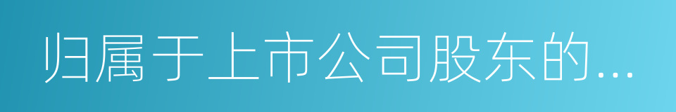 归属于上市公司股东的净资产的同义词