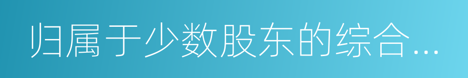 归属于少数股东的综合收益总额的同义词