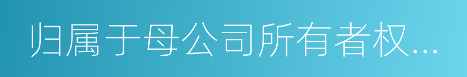 归属于母公司所有者权益合计的同义词