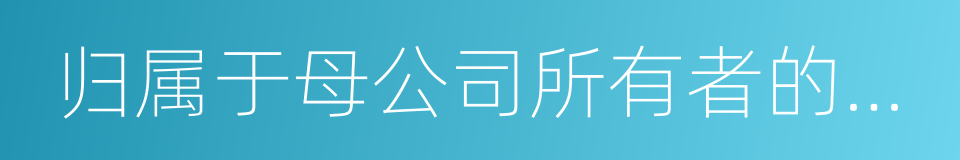 归属于母公司所有者的综合收益总额的同义词