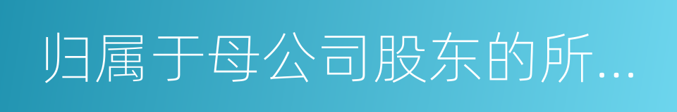 归属于母公司股东的所有者权益的同义词