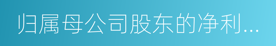 归属母公司股东的净利润同比增长率的同义词