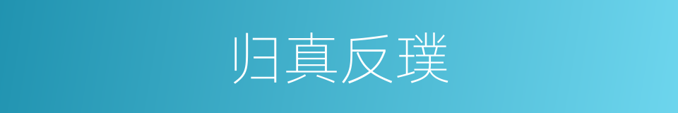归真反璞的意思