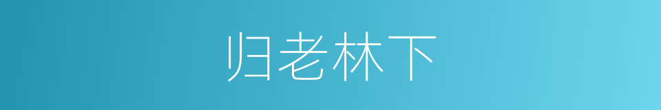 归老林下的意思