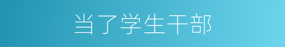 当了学生干部的同义词