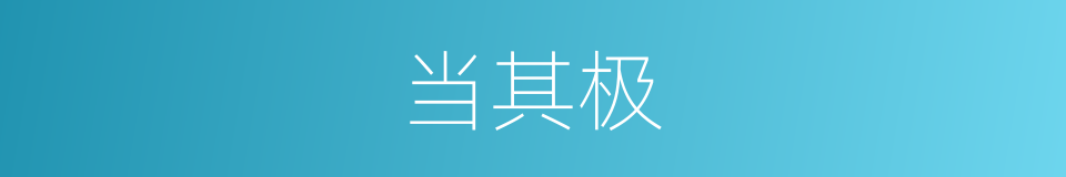 当其极的同义词