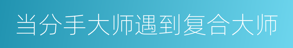 当分手大师遇到复合大师的同义词