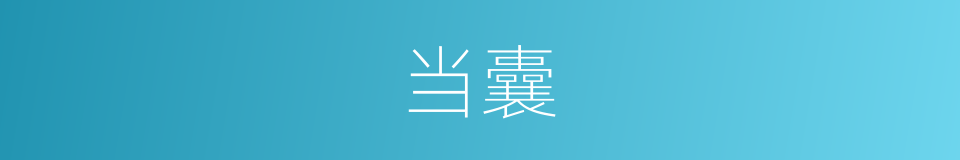 当囊的同义词