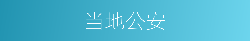 当地公安的同义词