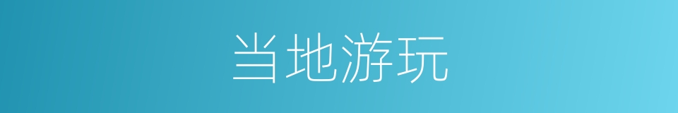 当地游玩的同义词