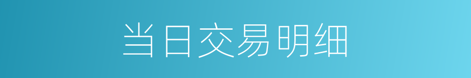 当日交易明细的同义词